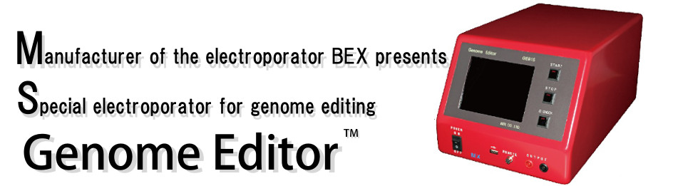 genome editor