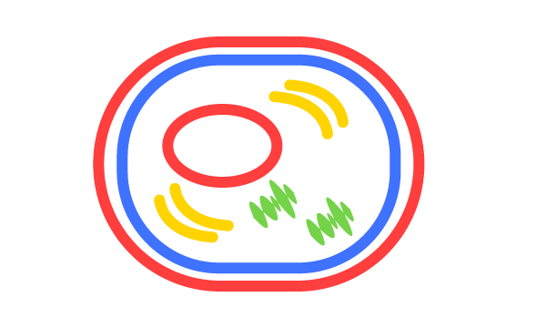 cell-related-service-icon