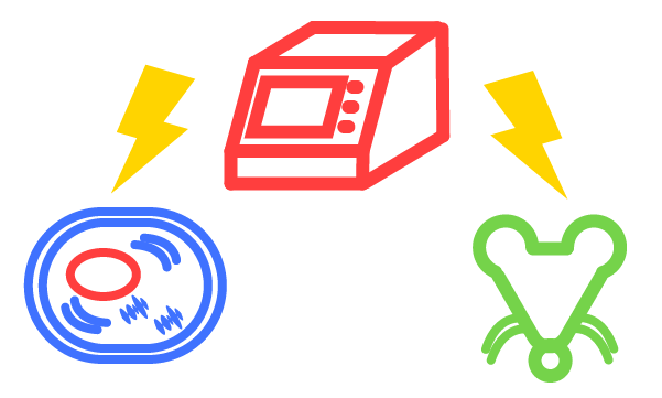 invivoinvitro-electroporator-icon