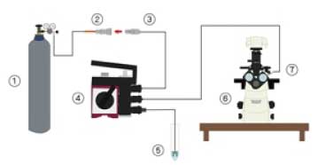 manipulator-injector-BIG2_setup