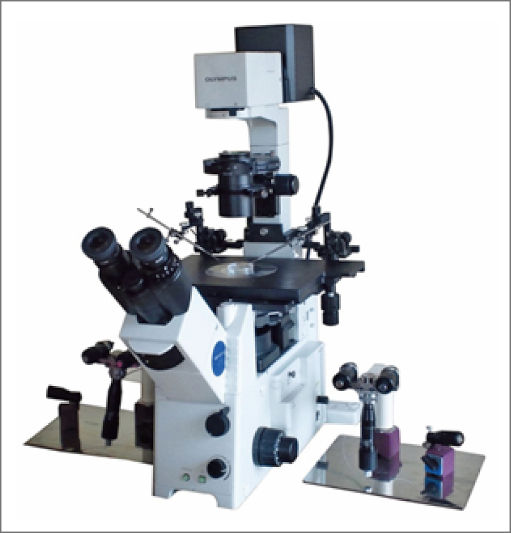 BSIS Injection System