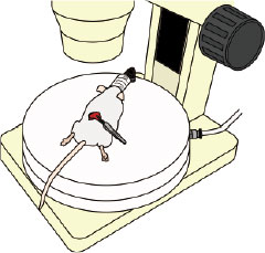 mgr-180_image4mgr.jpg