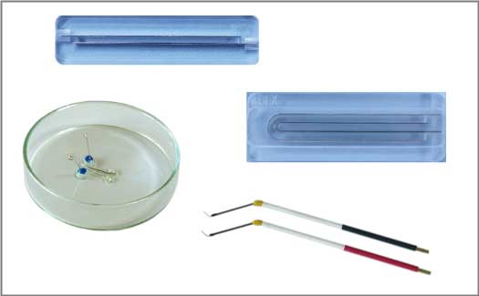 electrode4invivo