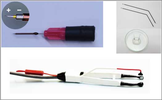 electrode4invivo