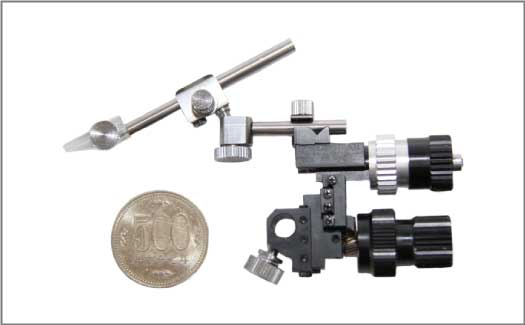 electrode4invivo